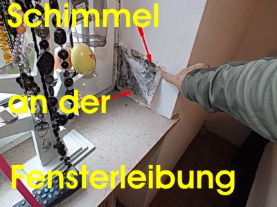 Schimmel an der Fensterleibung Schimmel an der Fensterleibung Schimmelpilz
